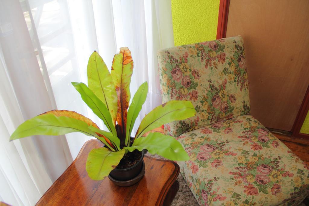 Hostal Benavente Puerto Montt Eksteriør bilde